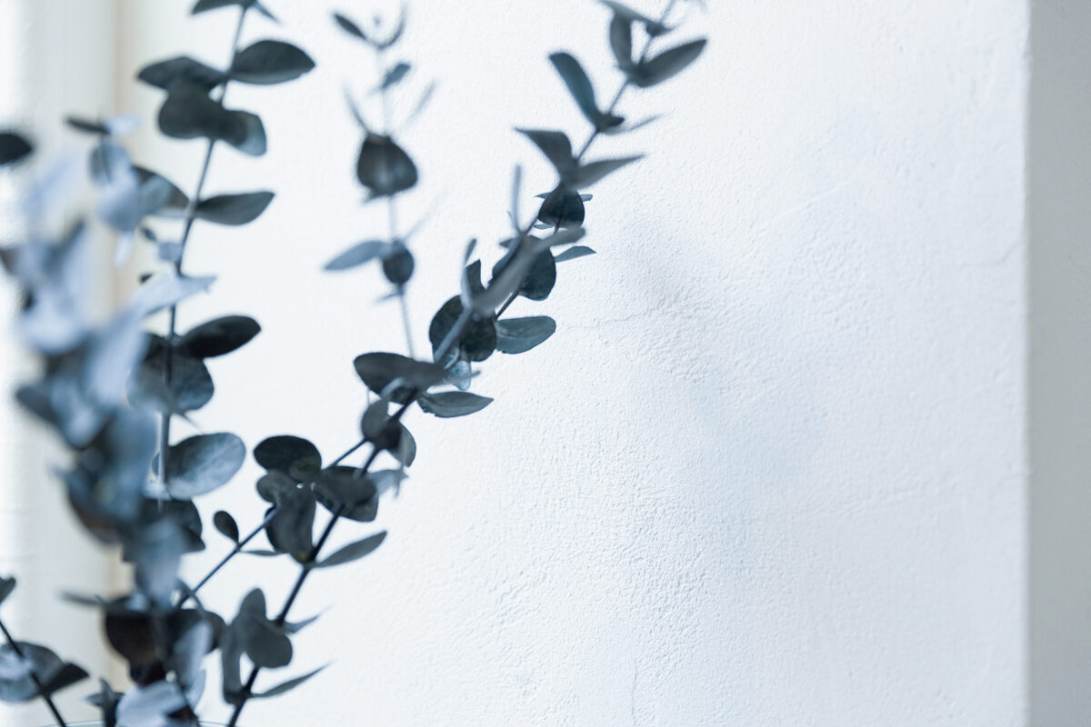 健康に配慮した自然素材